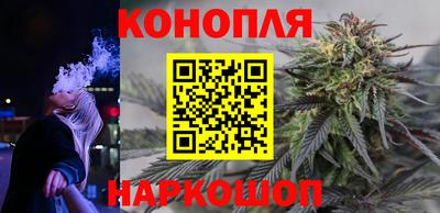 Альфа ПВП Дубна